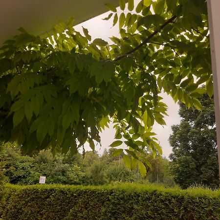 City Apartment Tuebingen-Lustnau Экстерьер фото